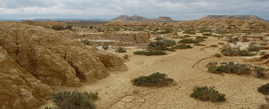 Bardenas Reales